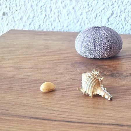 Appartement Primavera Sea View